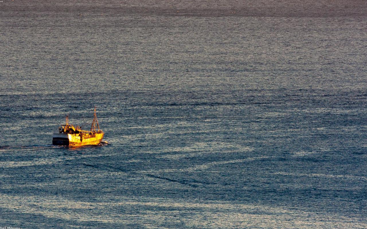 Tour de Barco (4 horas)