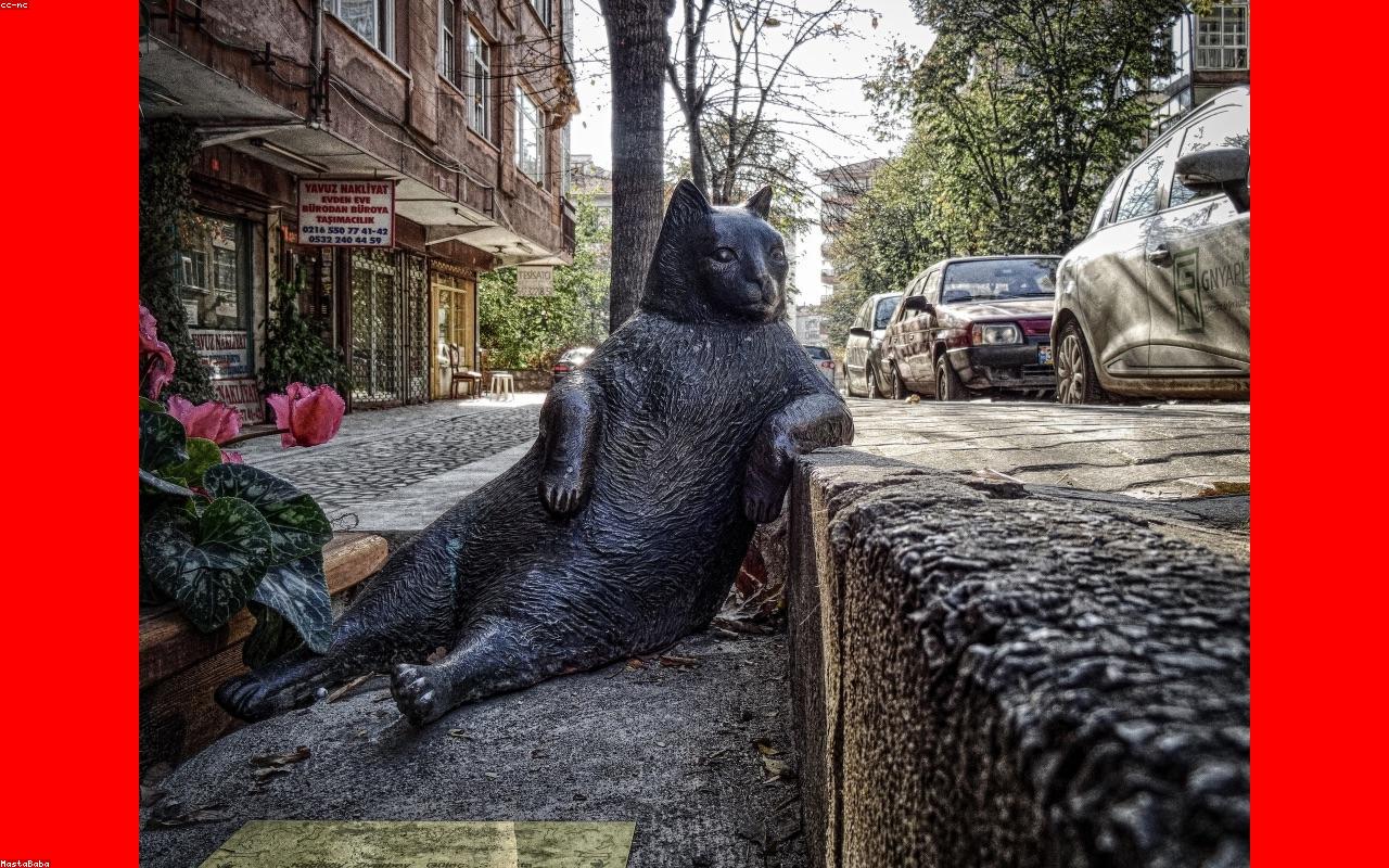 Stand Up Paddle ao Nascer do Sol